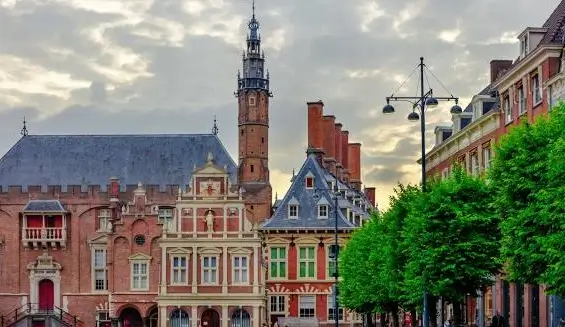 haarlem city