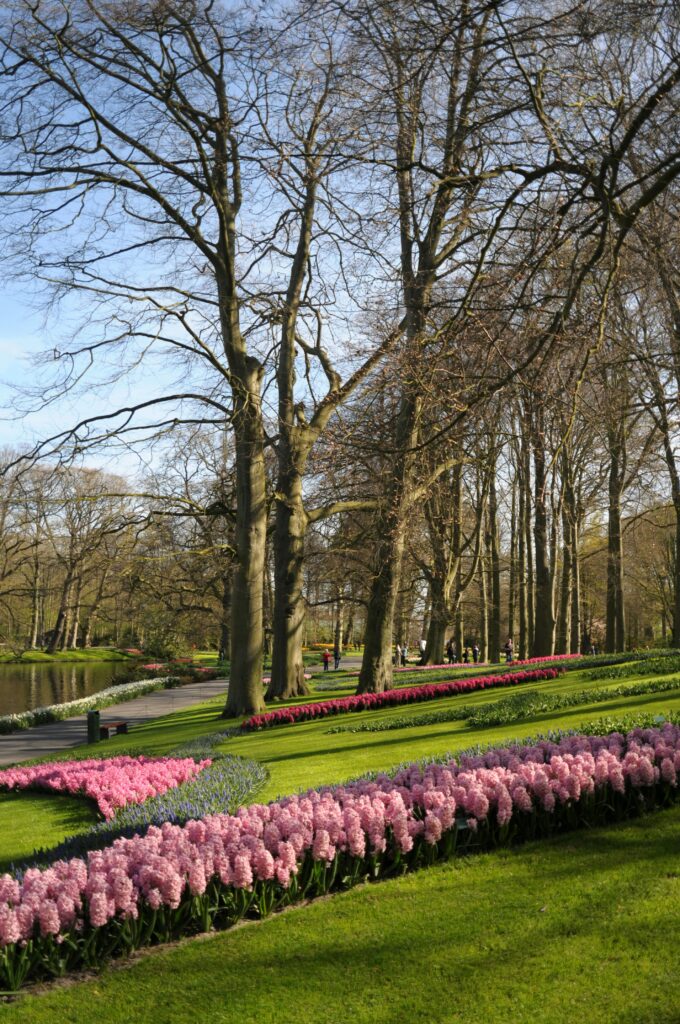 Keukenhof Gardens